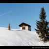 20080120_349